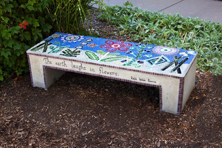 plain jane design Jane Glotzer